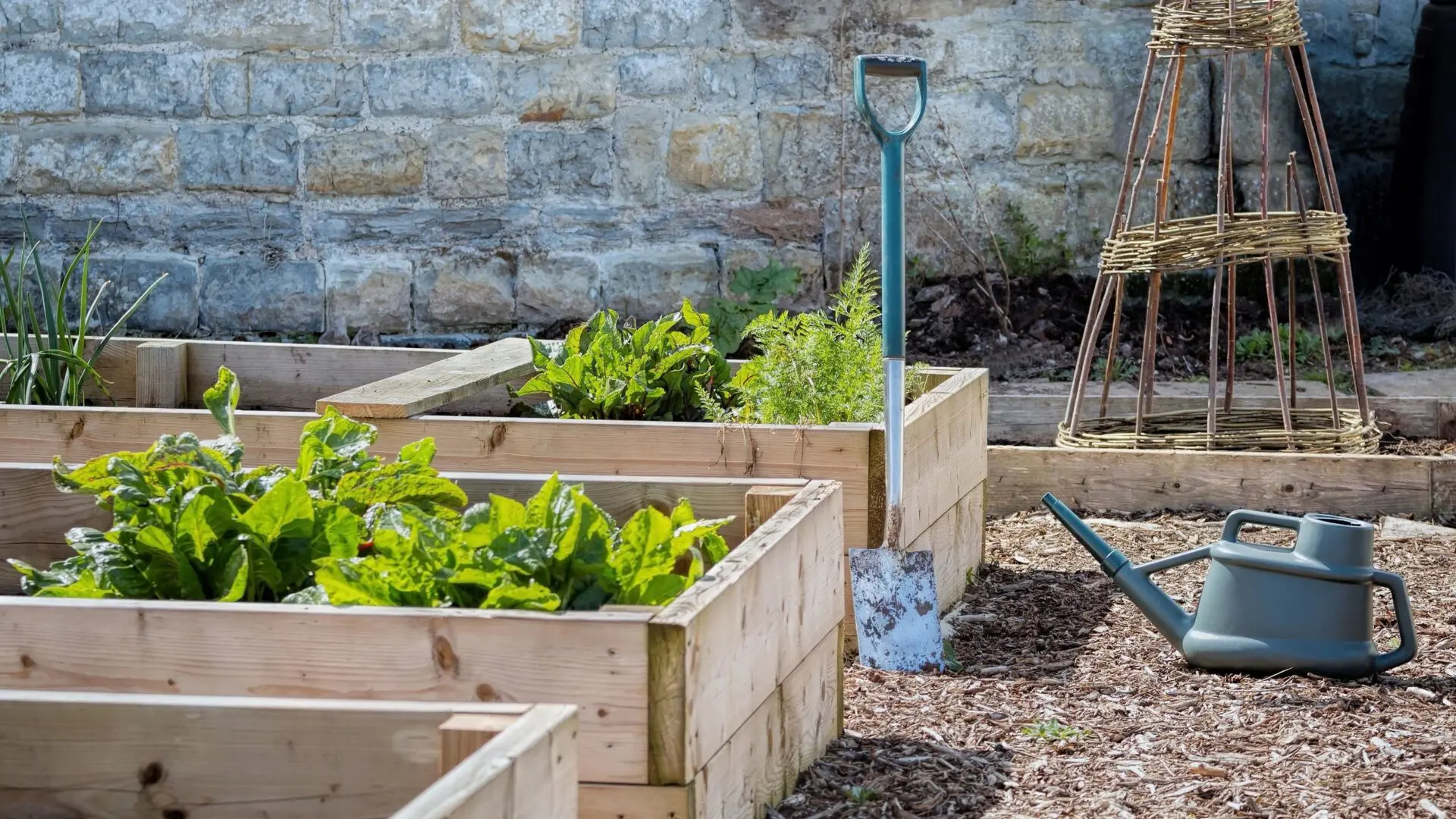 DIY Garden