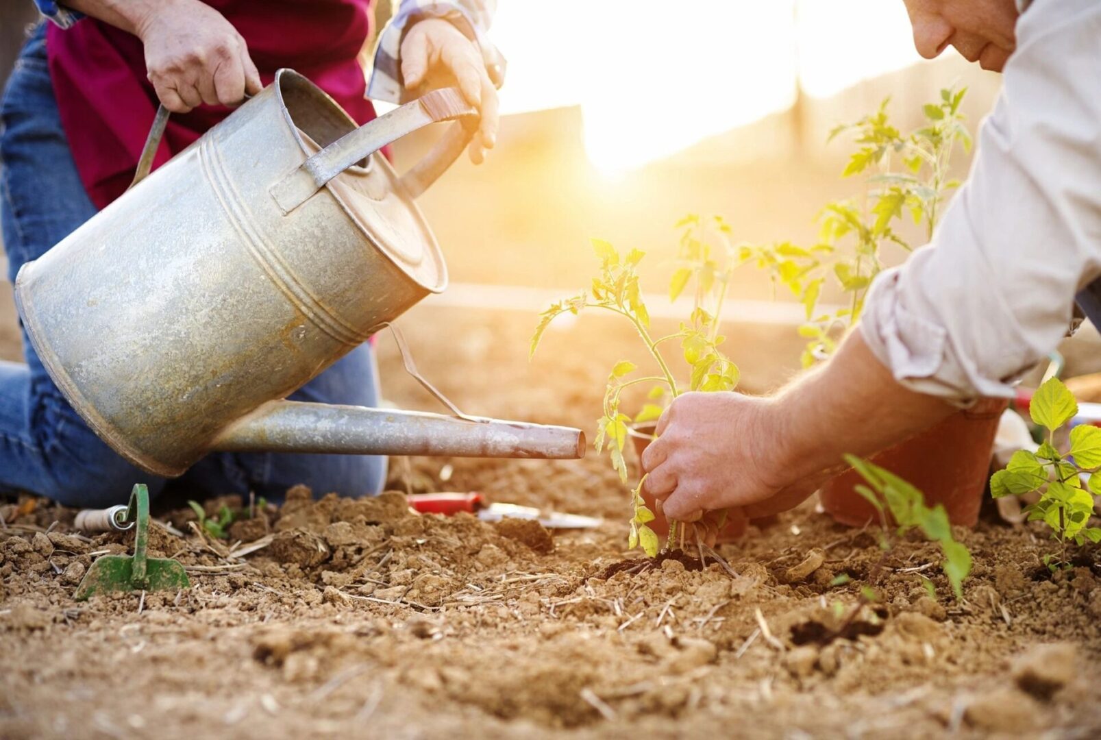 Gardening