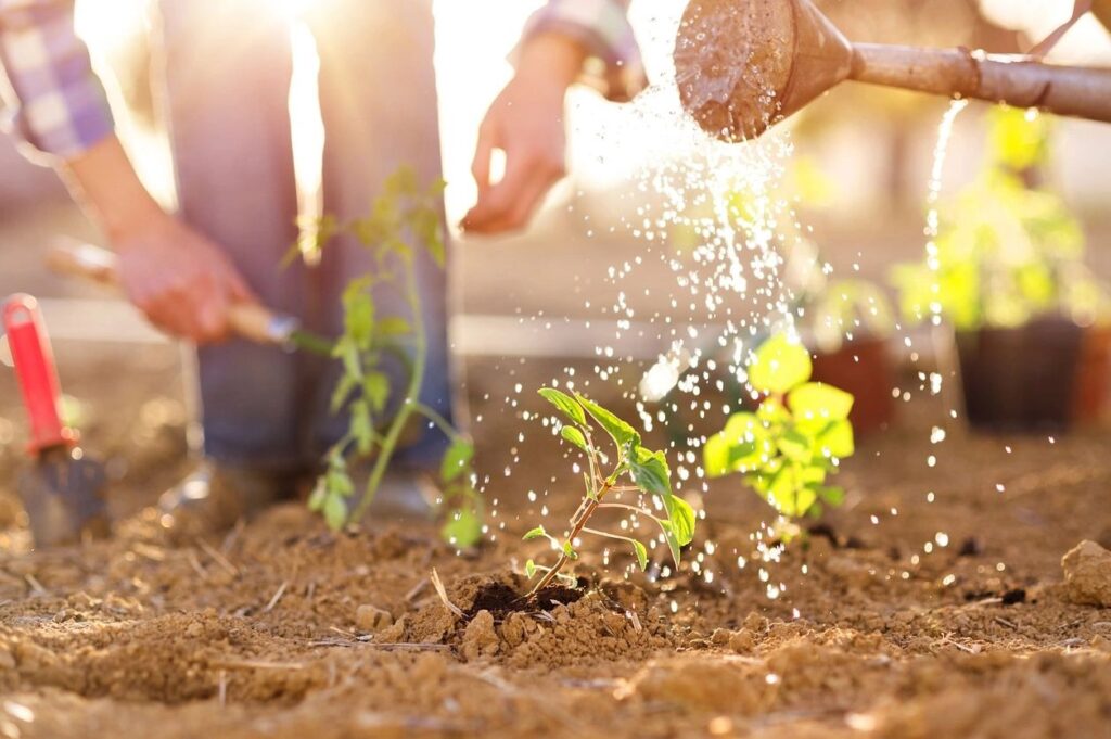 Gardening