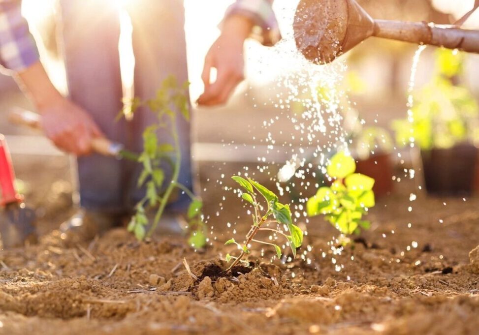 Gardening